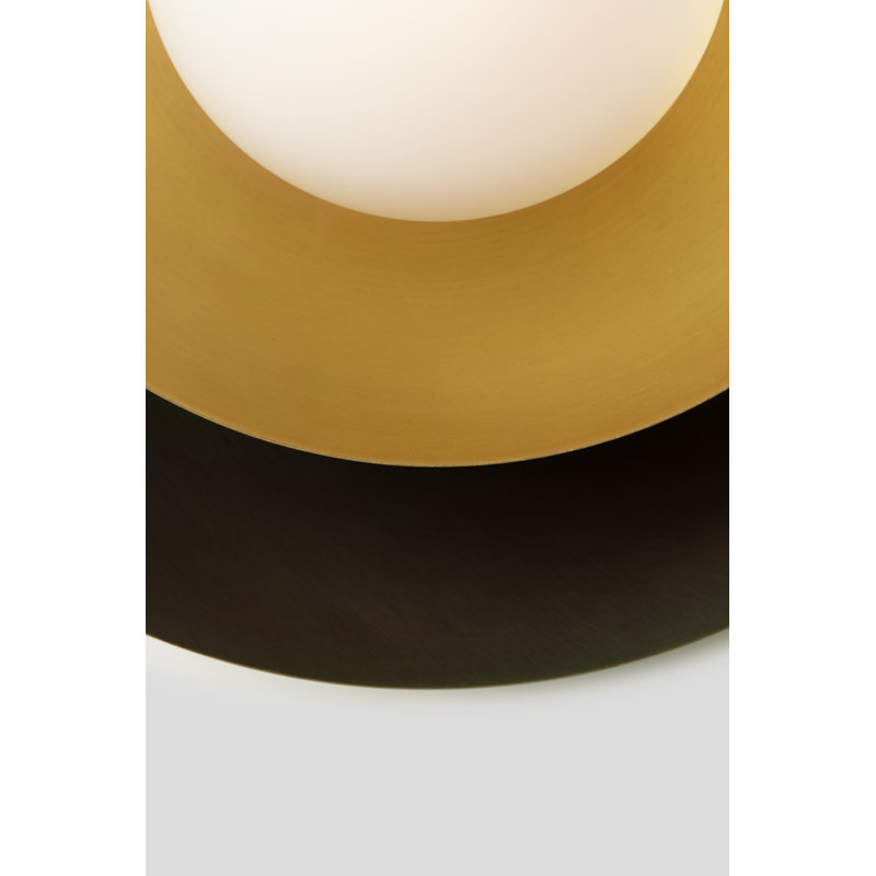 Carapace 1 - Light Pendant
