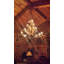 Knowles 20 - Light Chandelier