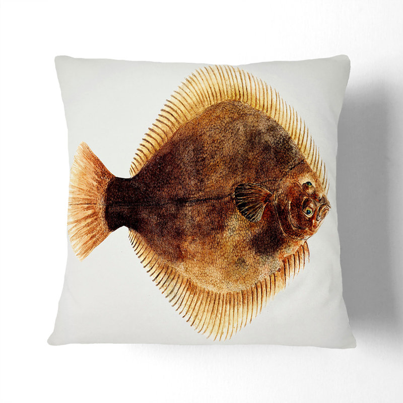 Illustration of a Greenback Flounder Fish by F.E. Clarke Cushion with Filling, 55cm H x 55cm W x 20cm D