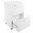 Ebern Designs File Cabinet - 2-Drawer Cabinet with Lock and Deep Drawer Storage - Rolling Filing Organizer for Under The Desk, Home, or Office (White)-416611534