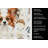 White with Red Papillon Coffee Bar Kitchen Towel-1168063281
