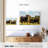 Brampt Grazing Angus Cows-107868865