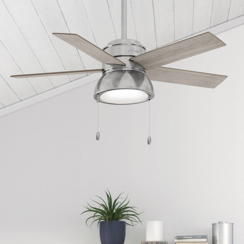 Lilliput 44" 5-Blade Standard Ceiling Fan With Lights And Pull Chains, Silver with Gray Blades
