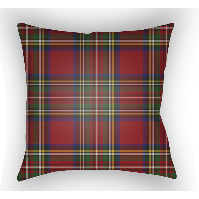 Buffalo Indoor/Outdoor Throw Pillow, 20" H x 20" W x 4" D