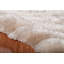 Urban Safari Area Rug-10324436