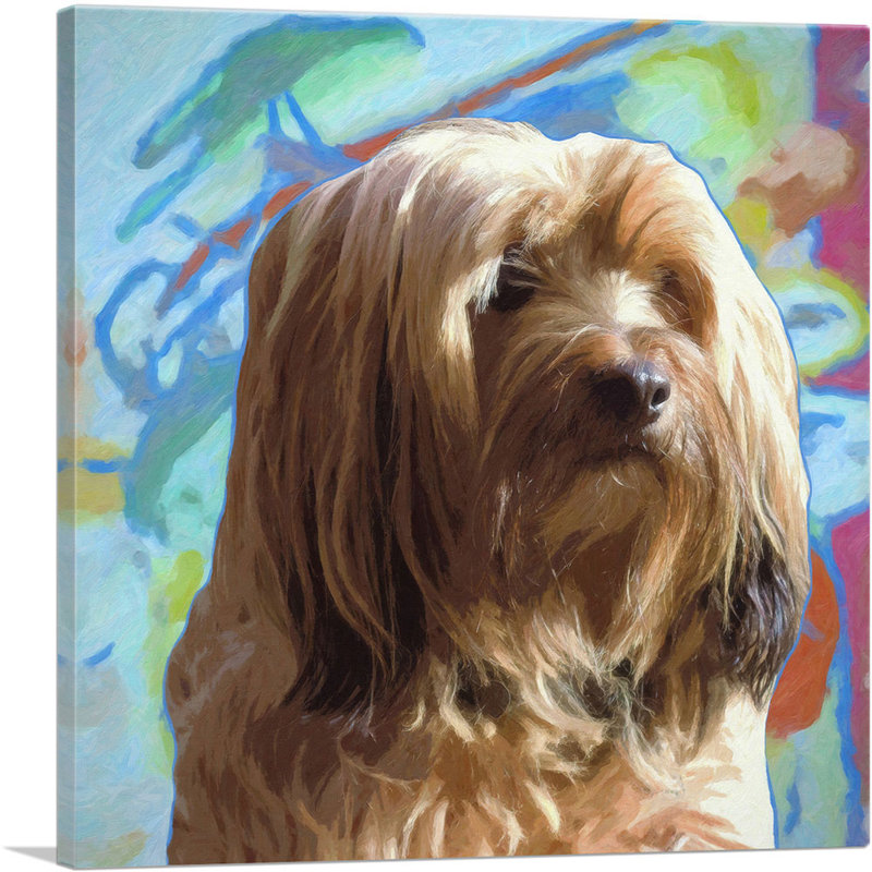 Havana Dog Breed Colorful Abstract - reproduction d'art sur toile tendue, H 12 po x l 12 po x P 0,75 po