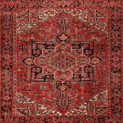 Oriental Indoor Rug