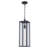 Iddings Outdoor Hanging Lantern-2143028528