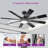 Barbre 60'' Ceiling Fan with LED Lights