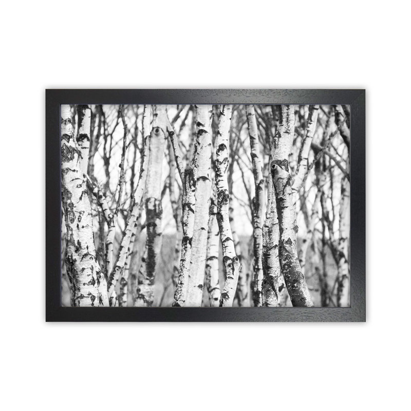 Off The Beaten Path by Victoria Frost - Print, 64cm H x 88cm W x 3cm D, Black Framed