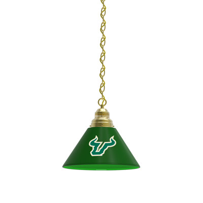 1 - Light Single Pendant