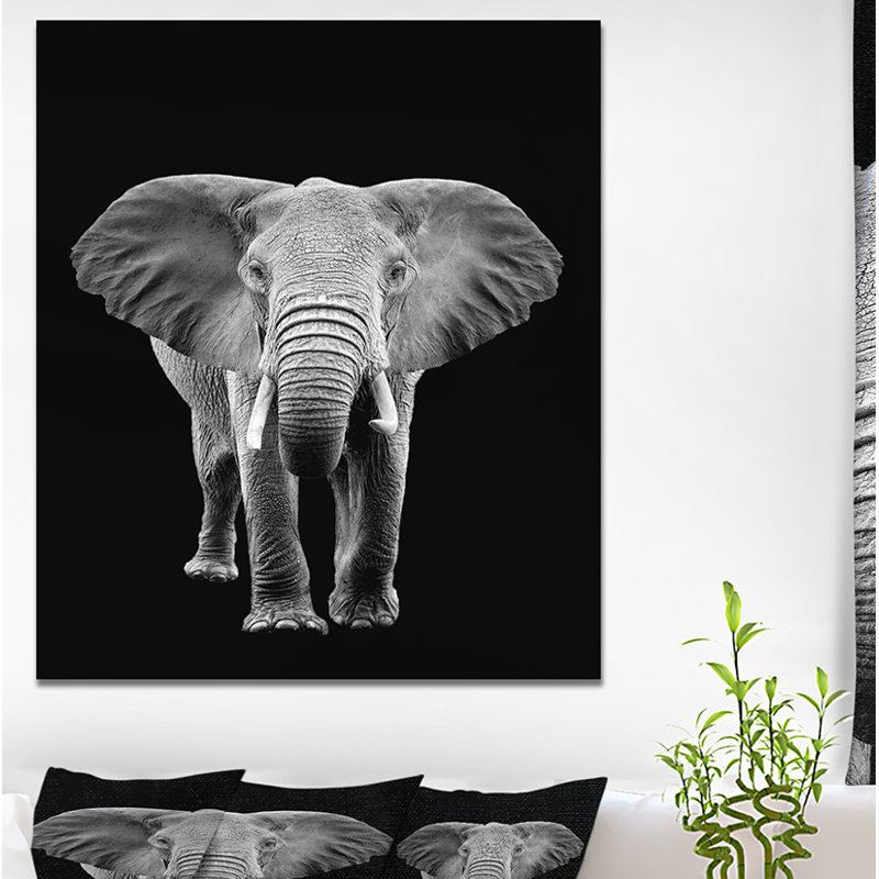 «Elephant on Dark», impression sur toile tendue, H 40 po x l 30 po x P 1,5 po