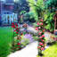 Arche de jardin en métal l 55 po x H 94,5 po