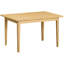 Medium Extending Table-655769552