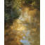 Silver Chasm