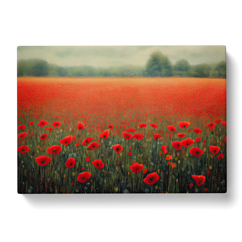 Splendid Poppies Flowers - Wrapped Canvas Print, 35cm H x 50cm W x 3cm D