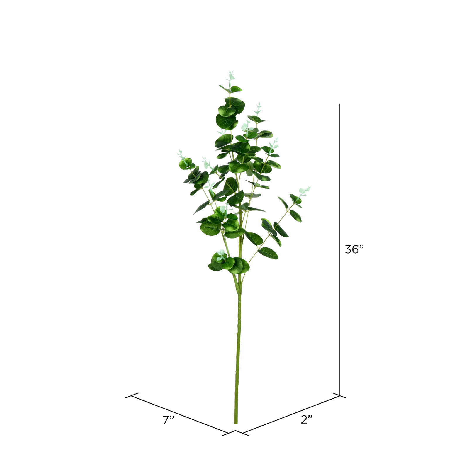 Orie Money Leaf Stems, Gray