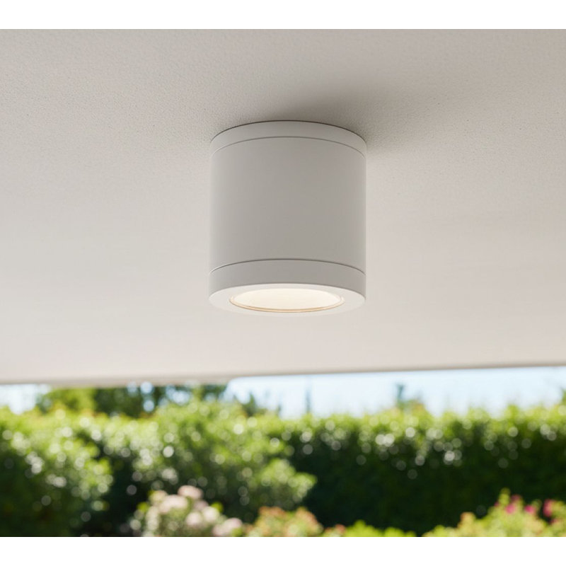 LED Spotlight, White