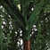 2Pcs Artificial Topiary Tree, Artificial Cedar Topiary Trees
