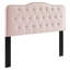 Tête de lit Modway Sophia-113058156-113058196