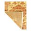 Oriental Indoor Rug