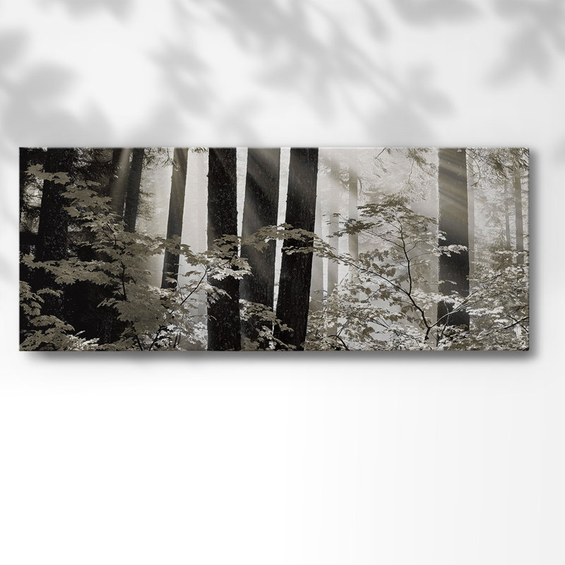 Misty Forest - Photographie sur toile tendue, H 20 po x l 50 po x P 1,5 po