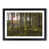 Black Framed
