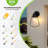 Outdoor Wall Sconce Wall Lantern