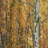 Yellow Colorful Autumn Forest - Nature Curtain - Velvet Room darkening - 1 panel-1745705610