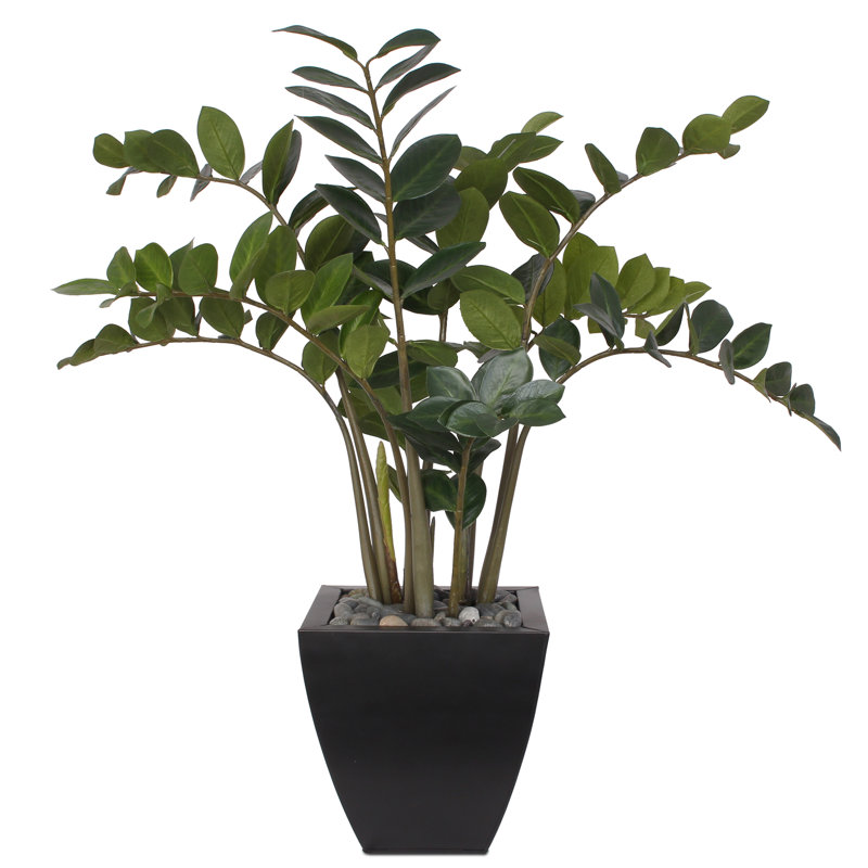 37 po H plante zz avec des cailloux noirs dans un pot en zinc noir moderne