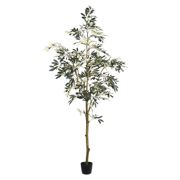 https://assets.wfcdn.com/im/94171426/resize-h755-w755%5Ecompr-r85/2346/234619231/Vickerman+7%27+Artificial+Potted+Olive+Tree..jpg