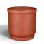 Privet Terracotta Pot Planter-765078735