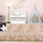 Rectangle Adalida Commercial Use Area Rug with Non-Slip Backing-590056611