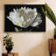 White Peony - reproduction sur toile avec cadre flottant-93410805-93410806
