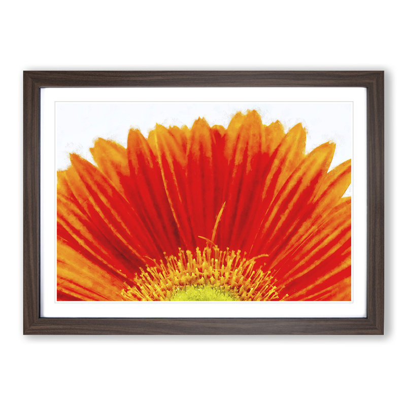 An Orange Gerbera - Single Picture Frame Painting on MDF, Walnut, 45cm H x 63cm W x 2cm D