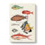East Indies Fish Illustrations Fol. 30 by Louis Renard - Wrapped Canvas-55342447