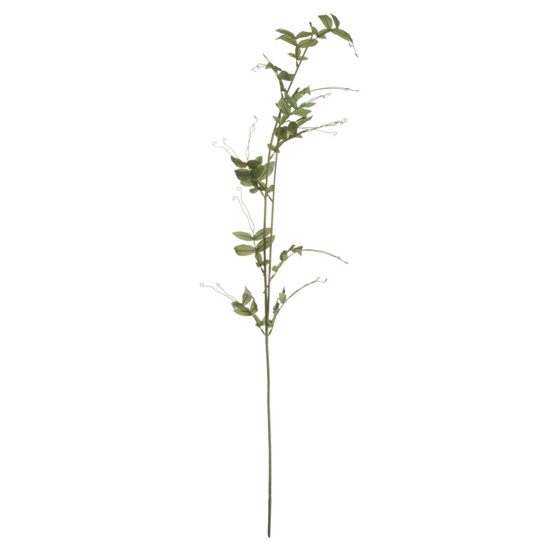 Anastasija Arrangement