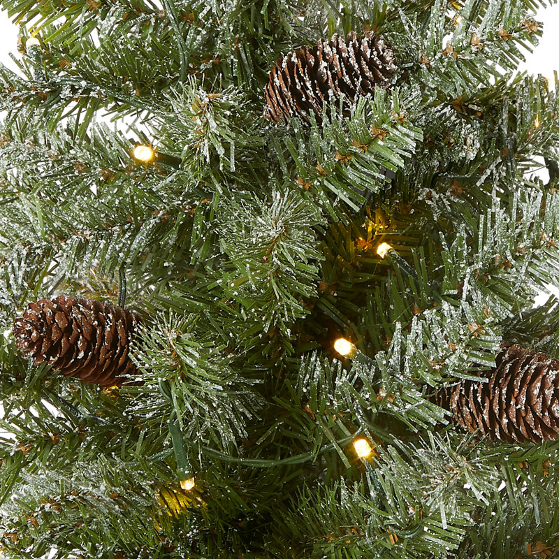 The Holiday Aisle® Snowy Concolor Fir Tree with LED Lights, 2'