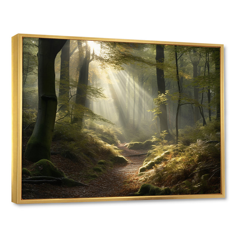 La lumière traverse la forêt III - impression, H 24 po x l 32 po x P 1 po, Cadre flottant doré