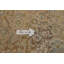 Tapis traditionnel discret 8 x 11
