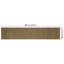 Solid Colour Standard Area Rug-1663133582