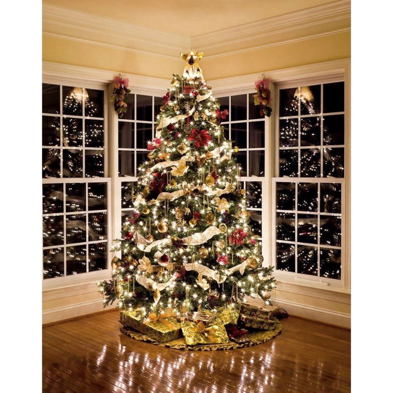 Mini-corde de noël 25 pi. 50 lumières christmas Pitzer, Transparent