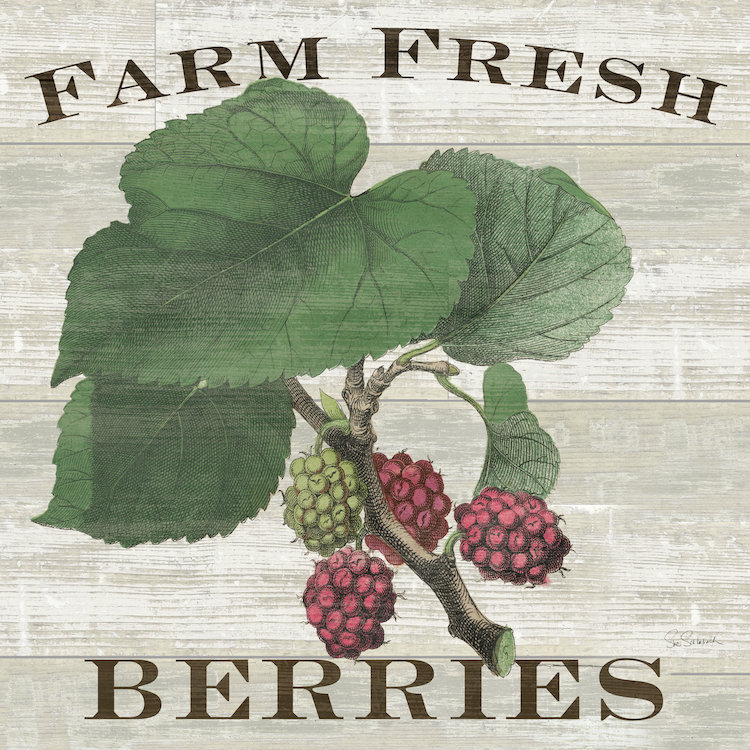 « farm fraîche raspberries », impression sur toile tendue, H 26 po x l 26 po x P 1,5 po, Toile tendue, Pas de tapis