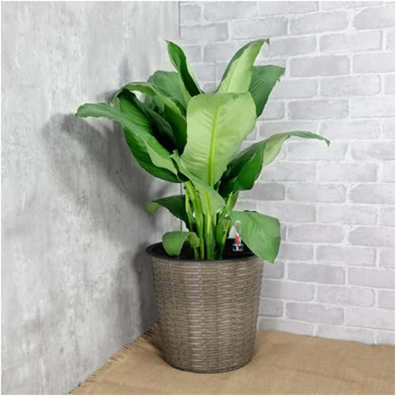10.2" Self-Watering Wicker Decor Planter For Indoor And Outdoor - Round - Grey, Gray