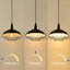 Luminaires suspendus à brancher, luminaire suspendu noir à brancher