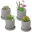 Pot Planter-1522228231