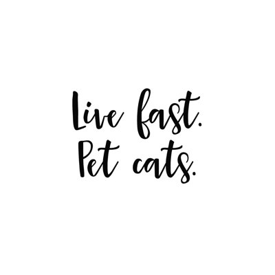 Chats pour animaux de compagnie