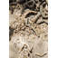 Wood Disk Wall Sconce