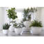 June Resin Pot Planter-49774551