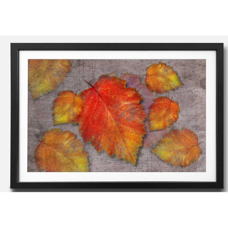 Streetart Leaves - Single Picture Frame Print, 44cm H x 64cm W x 2.2cm D